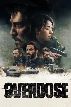 Overdose 2022 Hindi Dual Audio – 480p