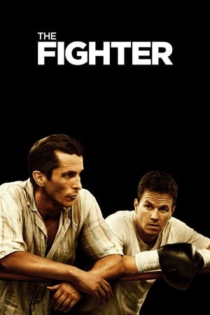 The Fighter (2010) Hindi Dual Audio [700MB]