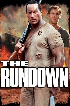 The Rundown (2003) Hindi Dual Audio [880MB]